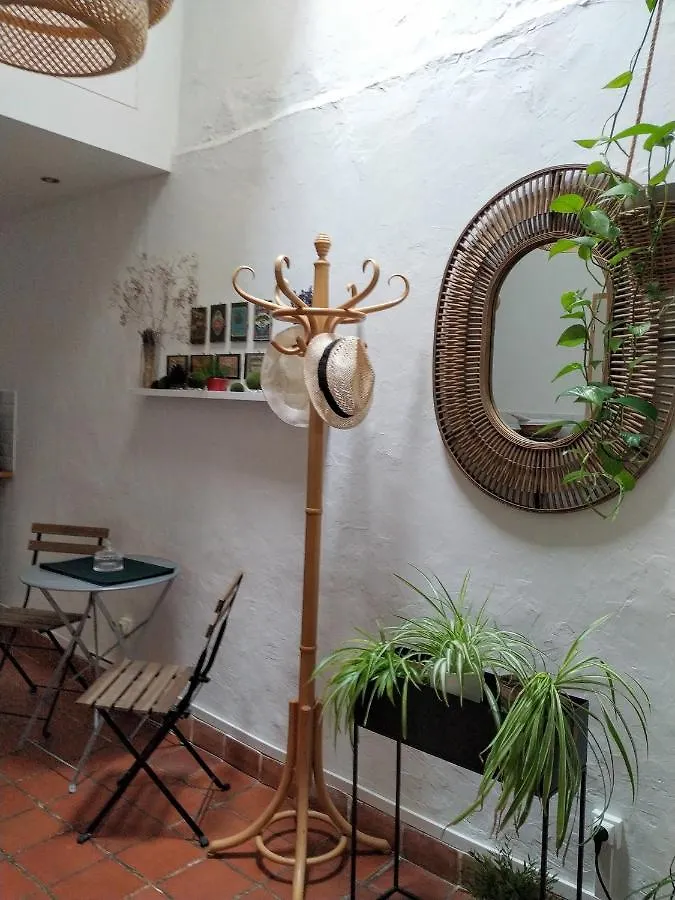 Apartment Appartement Arles Centre Historique France